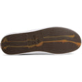 Sperry Striper II CVO SeaCycled Herren Graue Turnschuhe