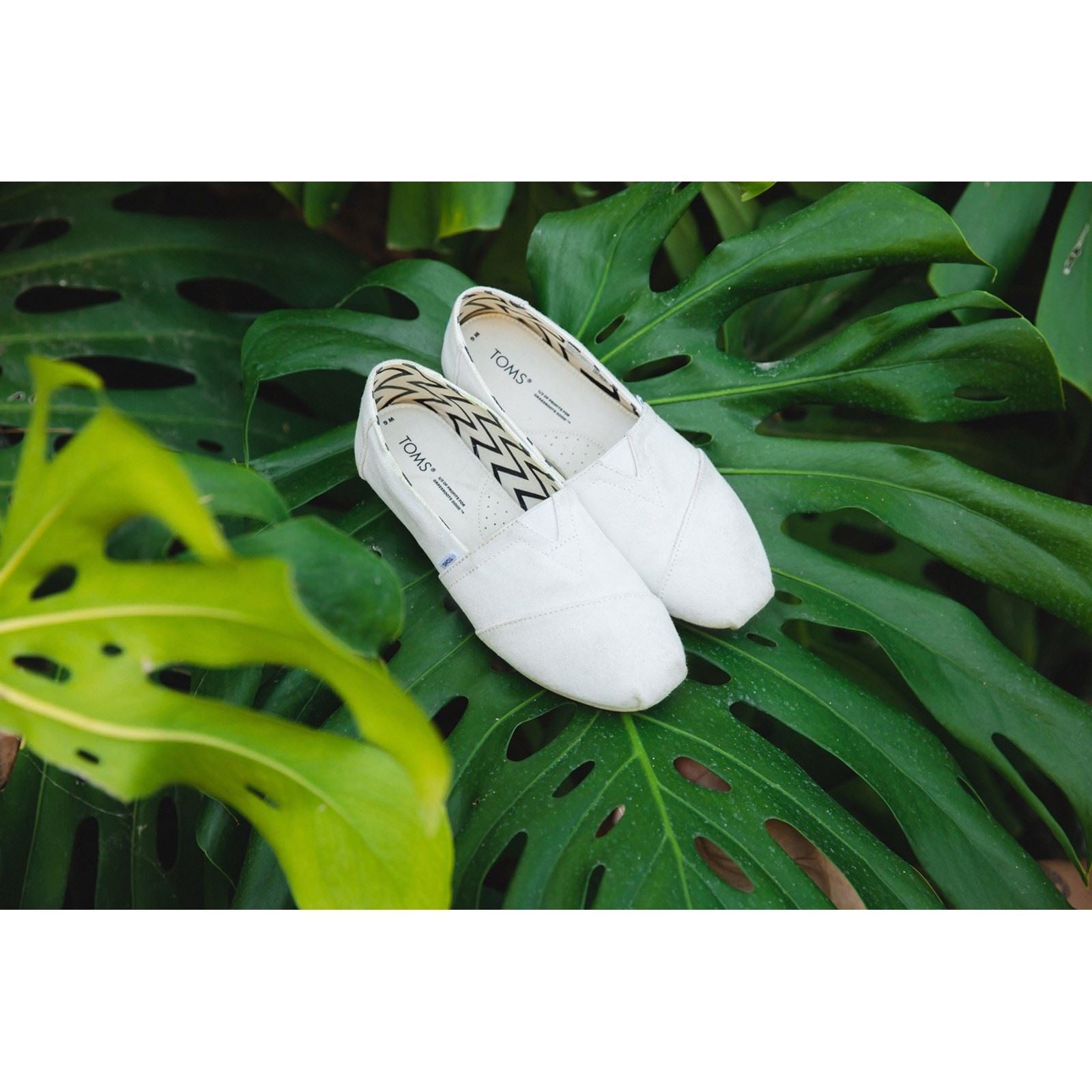 TOMS Alpargata 100% Baumwolle Herren Espadrilles In Weiß