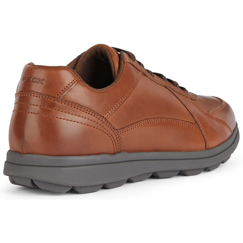Geox U SPHERICA EC12 Leder Rindsleder Vollnarbenleder Herren Cognac Sneaker