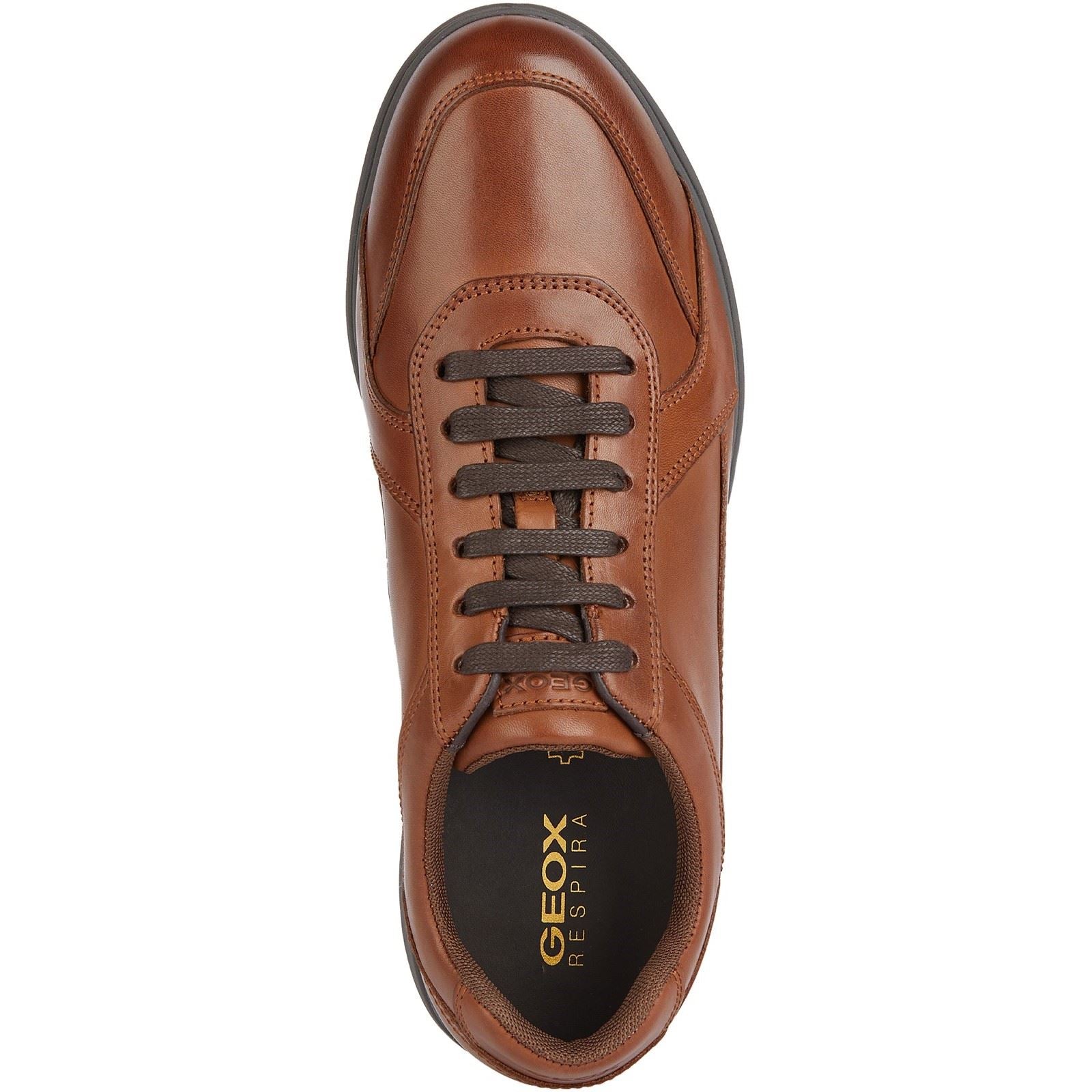 Geox U SPHERICA EC12 Leder Rindsleder Vollnarbenleder Herren Cognac Sneaker